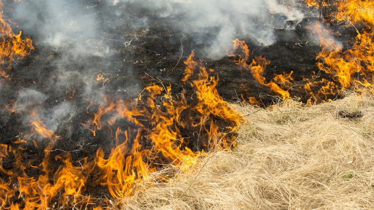 Óriási erőkkel küzdenek a lángokkal a tűzoltók az északnyugati országrészben